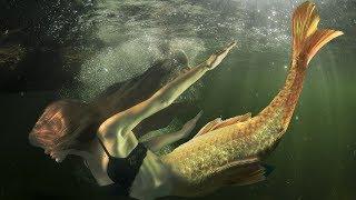 GeoCaching Series – Hidden Creatures – Mermaid Reality