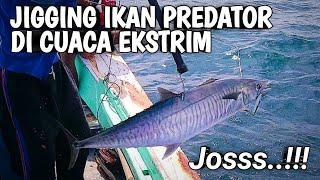 Melelahkan..‼️ Jigging ikan predator saat cuaca laut tak menentu ‼️ Mancing Mania Madura‼️