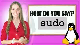 How do you say sudo in Linux?