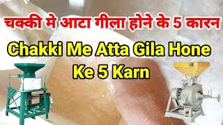 चक्की मे आटा गीला होने के 5 कारन  Chakki Me Atta Gila Hone Ke 5 Karn