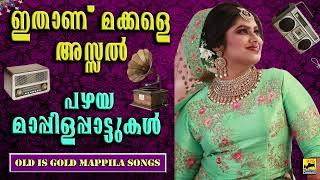 ഇതാണ് മക്കളെ അസ്സൽ പഴയ മാപ്പിളപ്പാട്ടുകൾ  Old Mappila Pattukal Malayalam  Old Is Gold Mappila Songs