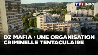 DZ mafia  une organisation criminelle tentaculaire