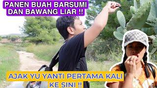 PERTAMA KALI AJAK YU YANTI GUIXE PANEN BAWANG LIAR DAN BUAH BARSUMI DI PINGGIR SUNGAI DEKAT GUNUNG