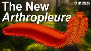 The New Look of Arthropleura - The Giant Prehistoric Millipede  7 Days of Science