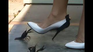 N83 Bug Crush Teaser - White Pumps and Crawdads