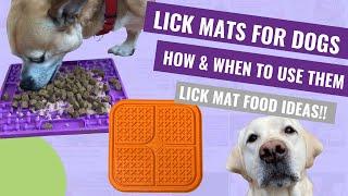 Lick Mat for Dogs How and When to Use a Lick Mat