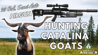 BIG GAME .30 Caliber AIRGUN HUNT  American Airgunner