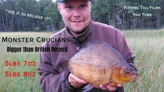 The Crucian Carp featuring footage of Huge Crucian Carp from Lake Ursjon in Sweden #cruciancarp