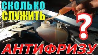 Эксперимент  Замерзнет ли многолетний антифриз?