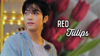 TXT Soobin ff  Red Tulips