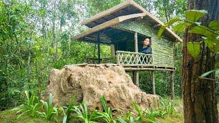 Girl Living Off Grid Built The Most Beautiful Off Ground Bamboo House Girl Builder