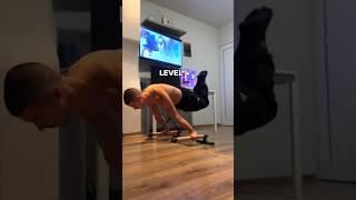 What Planche Level Can You Do