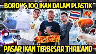 BORONG 100 IKAN DALAM PLASTIK DI CHATUCHAK FISH MARKET PASAR IKAN TERBESAR DI THAILAND BETTAFISH