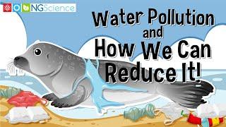 Water Pollution and How We Can Reduce It