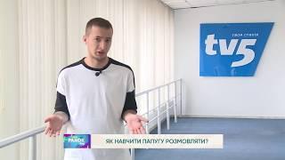 Як навчити папугу розмовляти?