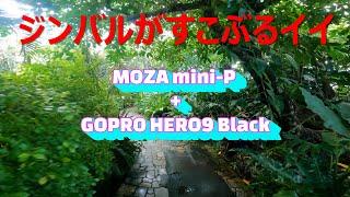 Gudsen MOZA Mini-Pジンバル3軸スタビライザーとGOPRO HERO9 BLACKの組み合わせが、すこぶるイイ件。