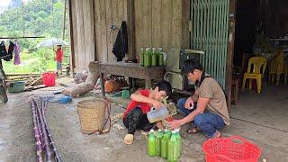 The daily life of an orphan boy Chopping sugar cane to make sugar cane juice to sell