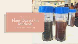 Plant Extraction Methods - Decoction and Maceration  JPTV