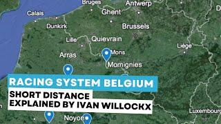 Belgian pigeon racing system short distance