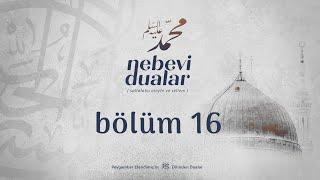 Nebevi Dualar - 16