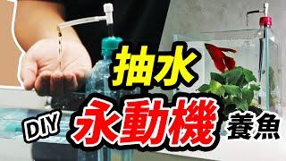 不換水養魚？停電救星永動機來了！ Free Energy Aquarium. Lets DIY Fish Tank Water Pump Without Electricity