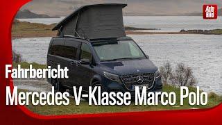 Mercedes-Benz V-Klasse Marco Polo  Fahrbericht mit Thomas Geiger