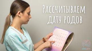 Как рассчитать дату родов по последним месячным?