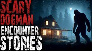 Dogman Horror Stories Camping & Deep Woods & Skinwalker & Hiking & Cabin Scary Stories Black Screen