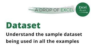 A Drop of Excel  Understanding the dataset used in the examples