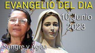 Evangelio Del Dia Hoy - Sabado 10 Junio 2023- Sangre y Agua