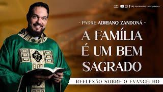 Lute e zele pela sua família  Mc 320-35  Padre Adriano Zandoná 090624