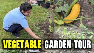 Vegetable Garden tour  & aaj Lucky the kaafi I Indians in England