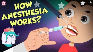 How Does Anesthesia Work?  Types Of Anesthesia  Dr Binocs Show  Peekaboo Kidz
