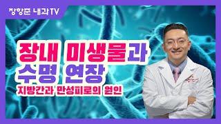 제16강 장내 미생물과 수명연장 지방간과 만성피로의 원인