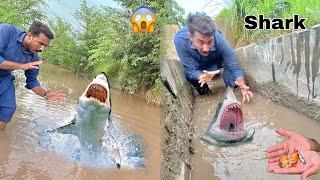 Village Ma Dangerous Shark  A Gai 