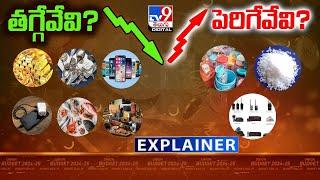 Explainer తగ్గేవేవి? పెరిగేవేవి?  Budget 2024 - TV9