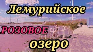 Лемурийское розовое озеро.Херсонская область.Солёные озёра Украины.Salt lakes of Ukraine.СТИХиЯ.