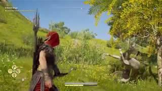 Horsing around in AC Odyssey