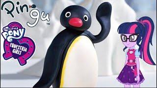 Pingu Season 5 to My Little Pony Equestria Girls