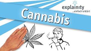 Cannabis einfach erklärt explainity® Erklärvideo