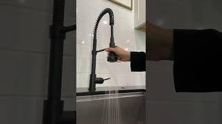 Transform Your Kitchen with ZLINEs Stylish Faucets 