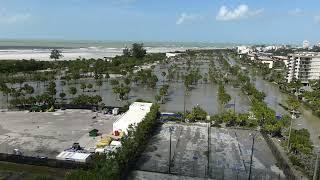 Conditions at Sarasota County Siesta Key Beach as of 11 a.m. on Sept. 27 2024