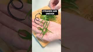 Cooking Hacks - Sliced Scallions #shorts