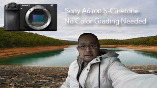 Sony A6700 Sample Video with S-Cinetone and Sony 11mm f1.8 lens