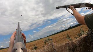 Pigeon hunting  - 22 birds with my gundog