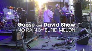 Goose and David Shaw cover No Rain by Blind Melon