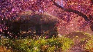 SPRING AMBIENCE WITH CHERRY BLOSSOMS Stream Sounds Spring Day Sounds Splashing