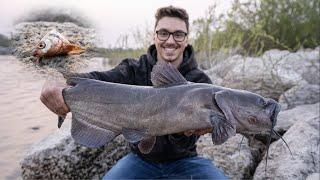 Were BACK and Catching Catfish on the Red River