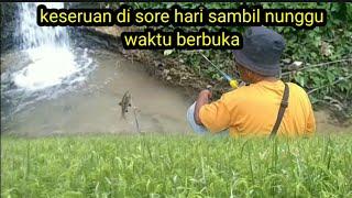 NGANGABURIT DIPINGGIR SAWAH SAMBIL NUNGGU BEDUK BERBUKA di air terjun