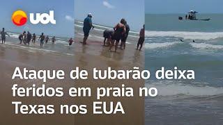 Tubarão ataca banhistas e deixa feridos em praia no Texas nos EUA vídeos mostram imagens fortes